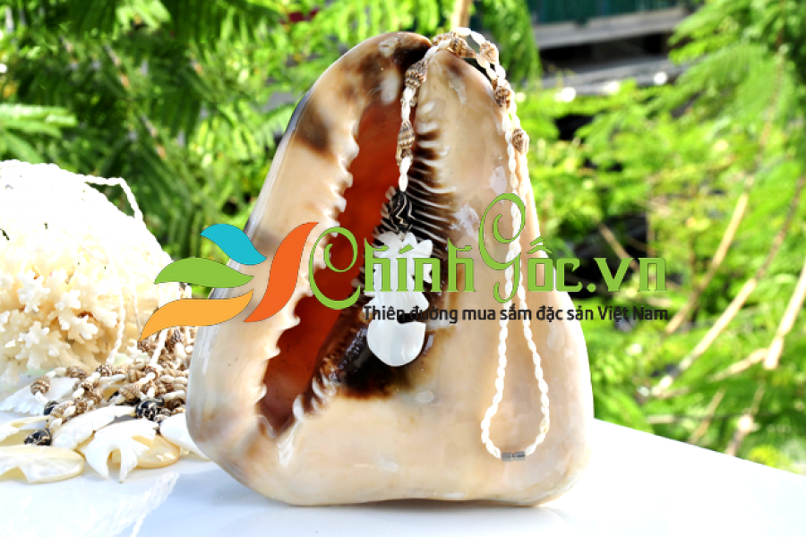 Dây chuyền đeo cổ mặt trai cắt DC03