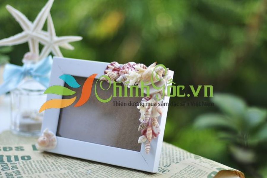 Khung ảnh vỏ sò, vỏ ốc