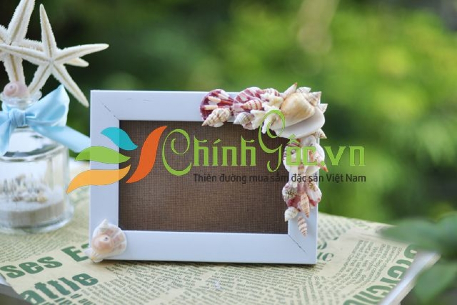 Khung ảnh vỏ sò, vỏ ốc