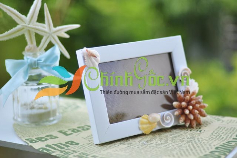 Khung ảnh vỏ sò, vỏ ốc