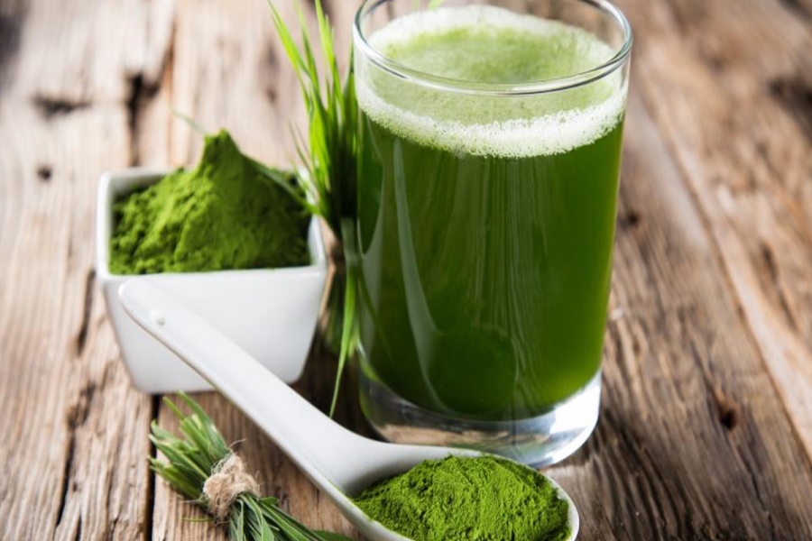 Bột lá chùm ngây