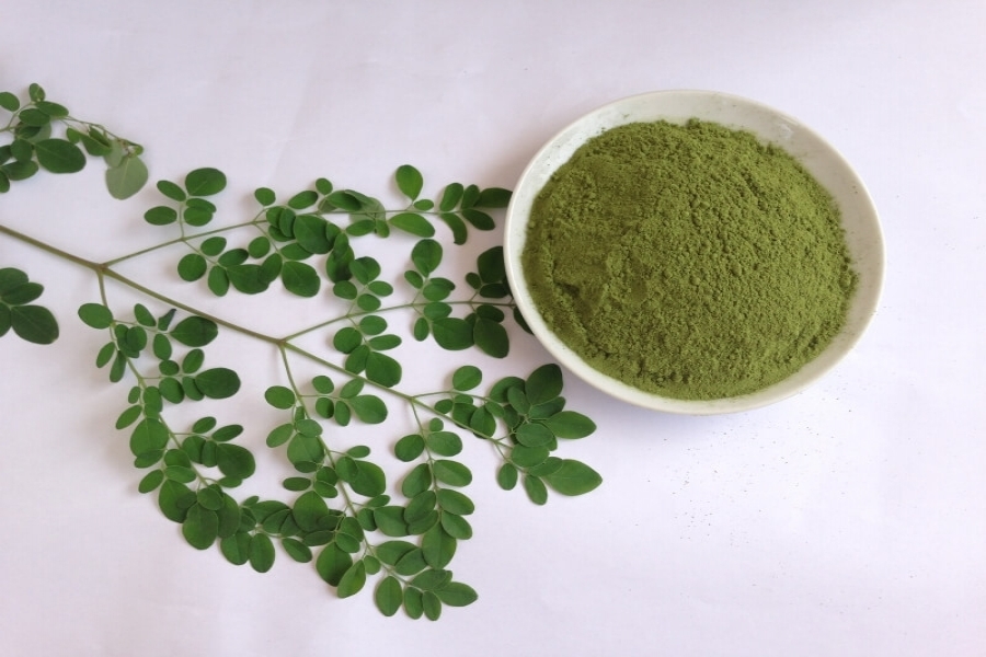 Bột lá chùm ngây