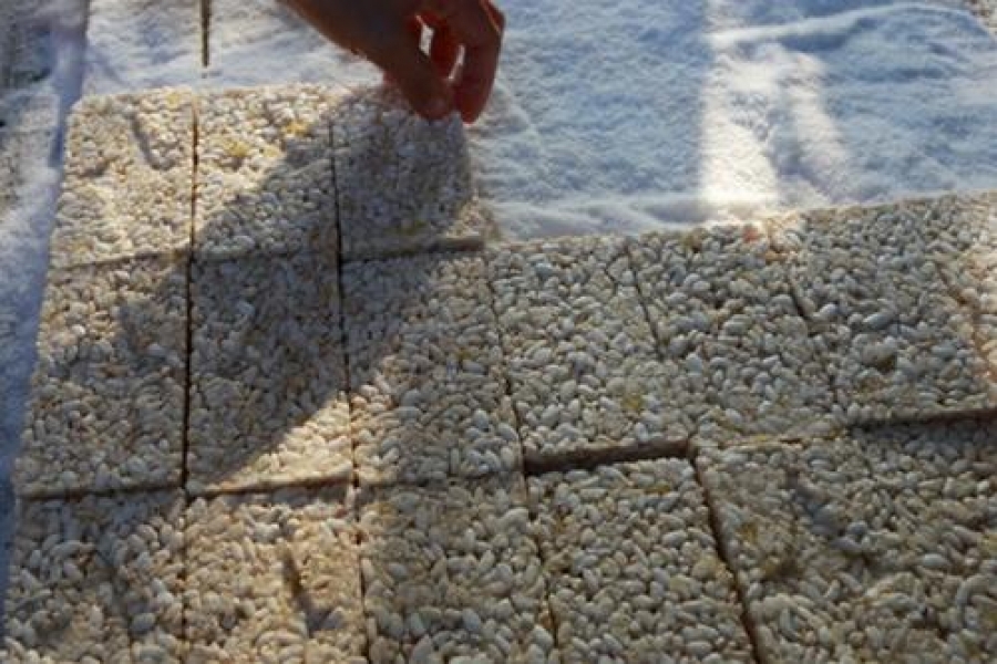 Cốm nếp Phong Hậu