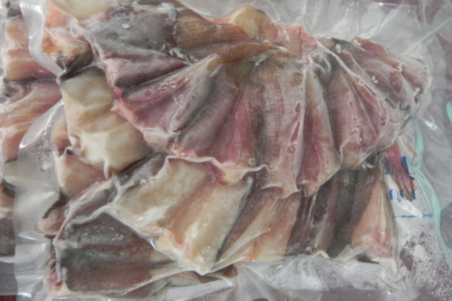 Cá đuối chà dao 1 nắng