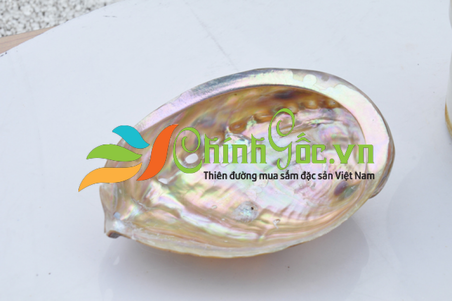 Vỏ bào ngư vành tai đỏ