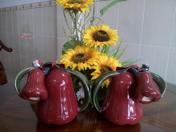 Rượu mận Cần Thơ