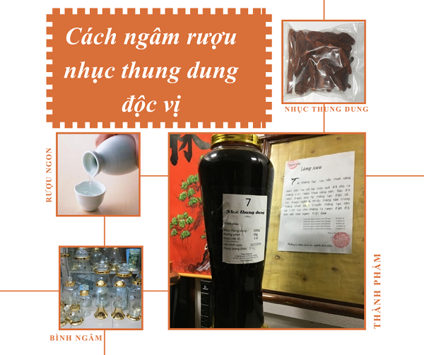 cach ngam ruou nhuc thung dung