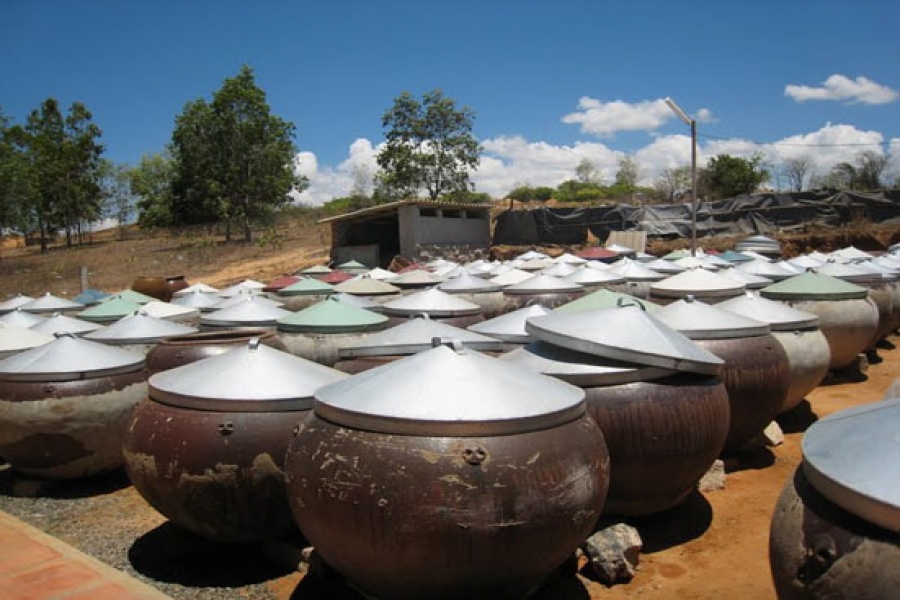 Nước mắm Phan Thiết