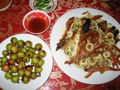 goi sung ca chi vang