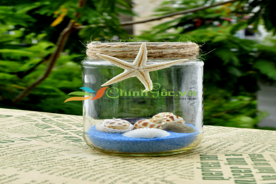 Đèn Nến Lọ Thủy Tinh – Vỏ Sò Ốc 