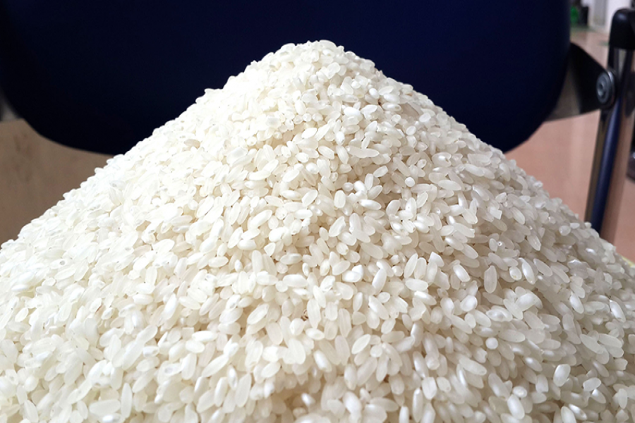 Gạo Già Diu Xíu Mầm