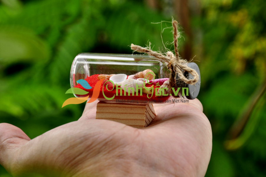 Lọ Thủy Tinh Cát Vỏ Ốc Đế Gỗ (7×3)