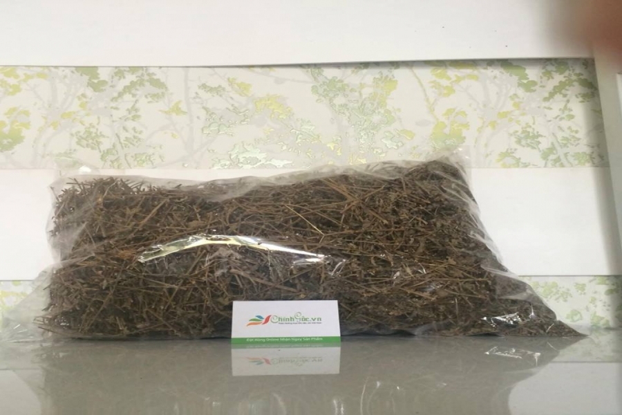 Cây Cà Gai Leo Khô