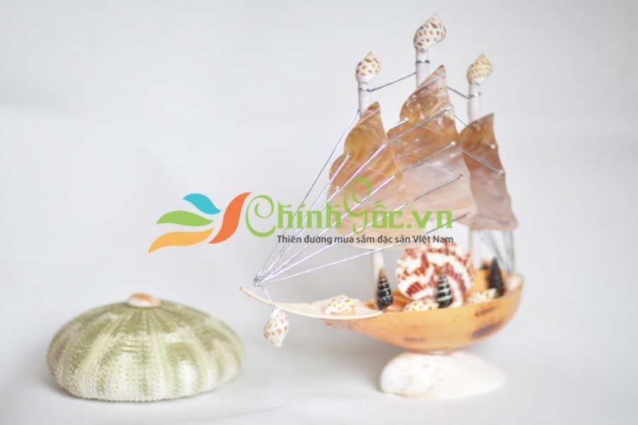 Thuyền Buồm Vỏ Ốc Nhỏ