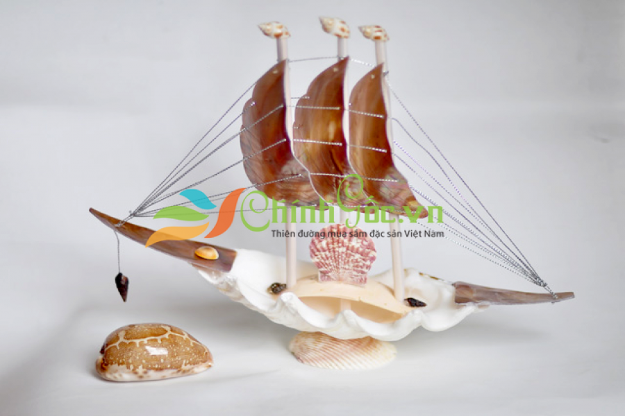 Thuyền Buồm Vỏ Ốc Trung 