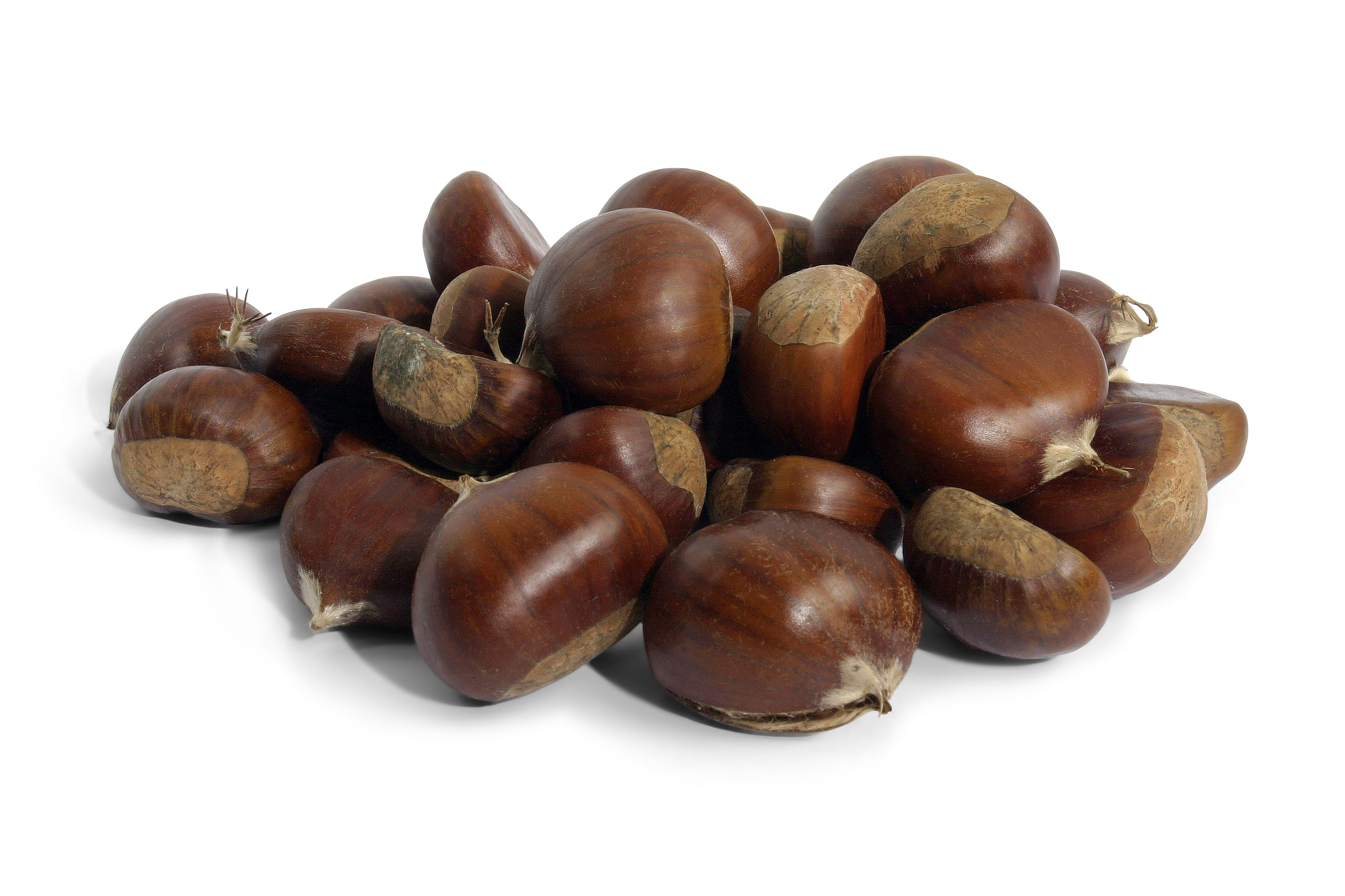 Hạt dẻ Trùng Khánh 