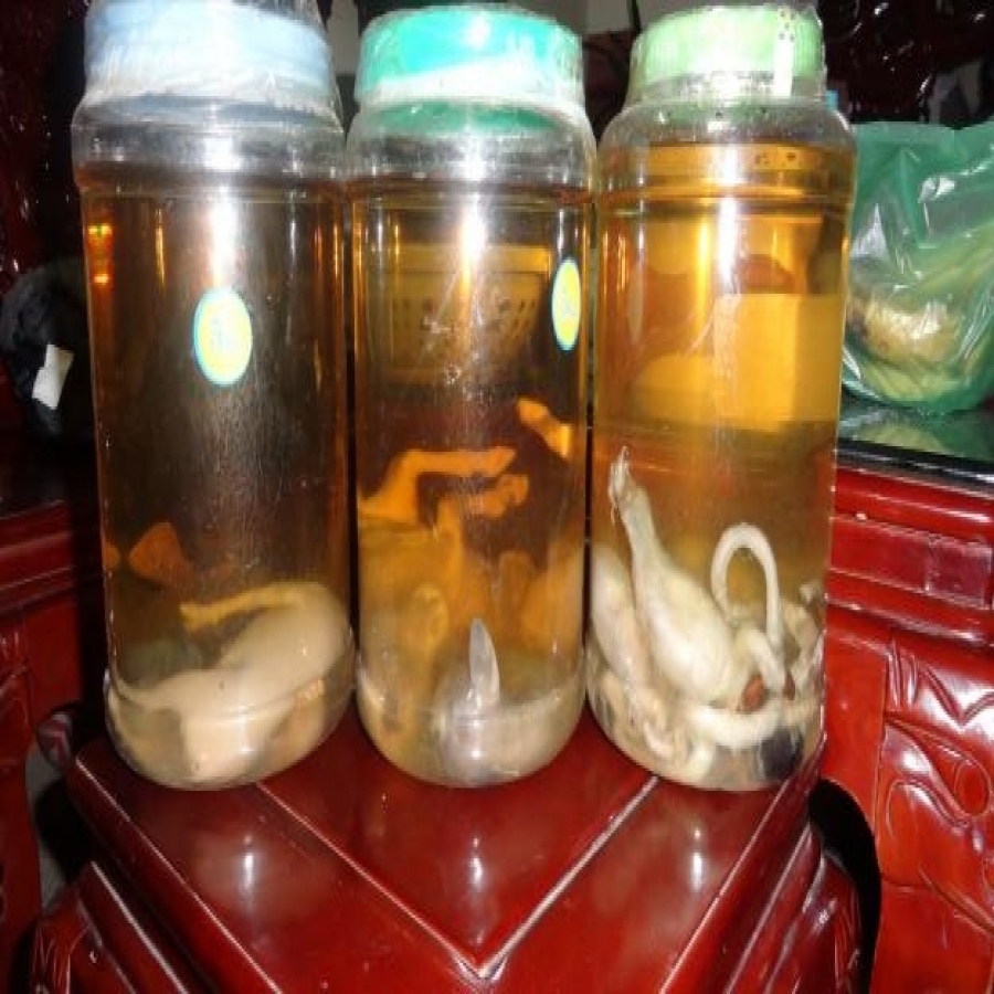 Rượu Ngọc Dương