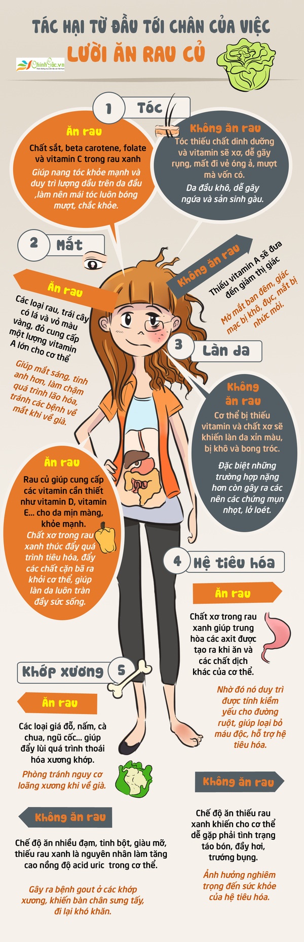 Bạn lười ăn rau? Đọc ngay bài này