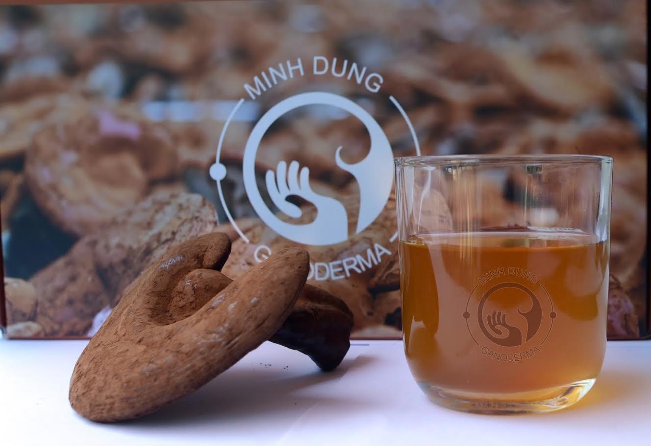 Nấm linh chi Minh Dũng hỗ trợ tim mạch
