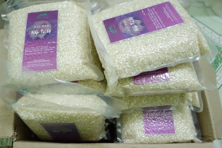 Gạo nếp Tú Lệ