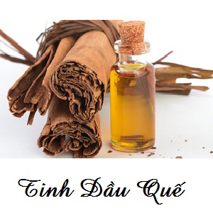Tinh dầu quế sự lựa chọn hoàn hảo
