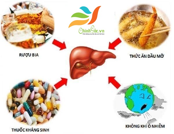 gan bị nhiễm độc