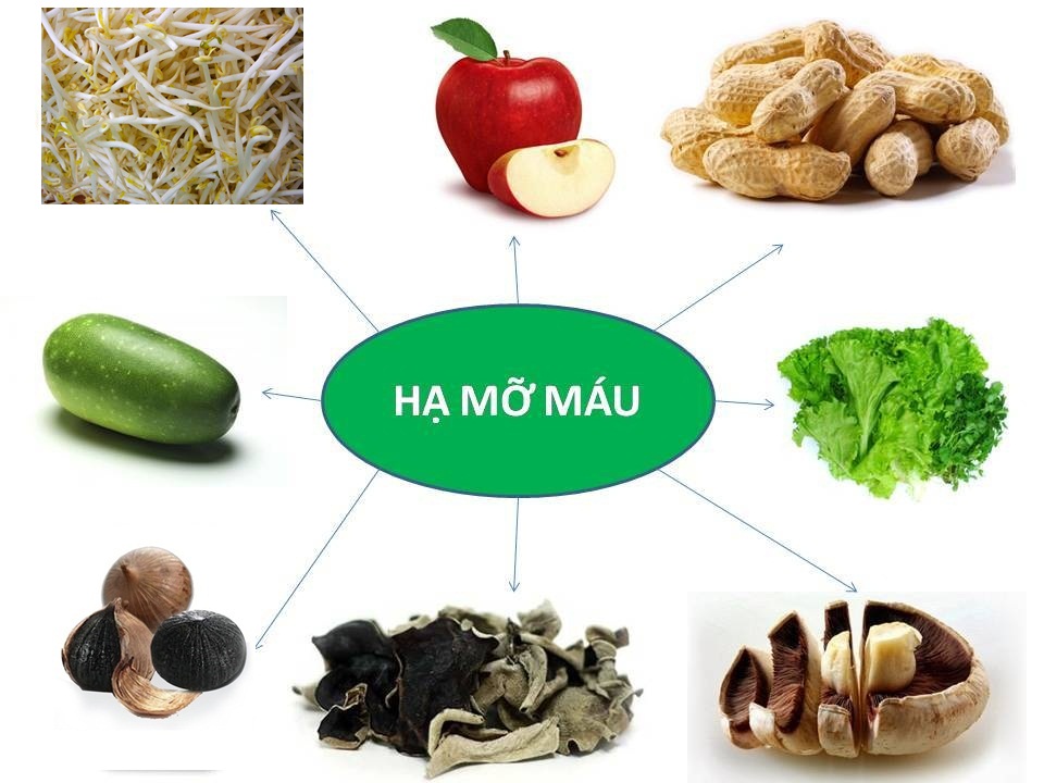 Mỡ máu
