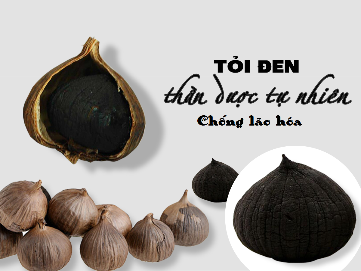 Tỏi đen cô đơn chống lão hóa