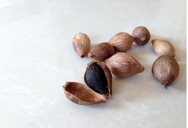 Tỏi đen cô đơn lý sơn
