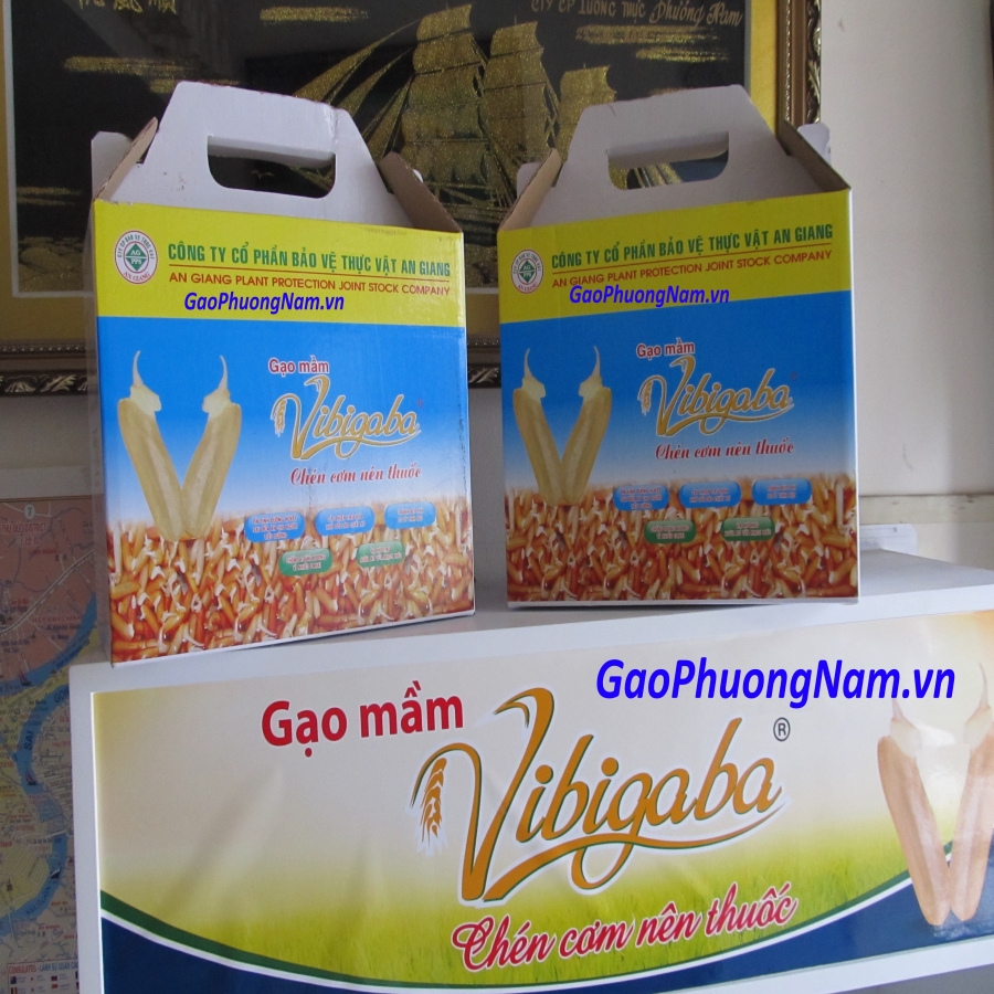 Gạo mầm Vibigaba