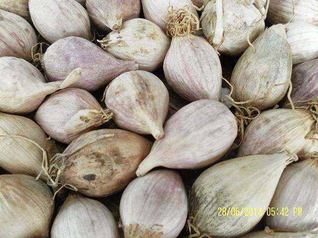 toi co don trung quoc