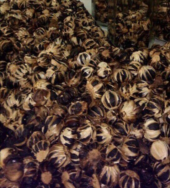 Tỏi Đen Nhiều Nhánh Lý Sơn ( Tỏi Nhiều Tép)