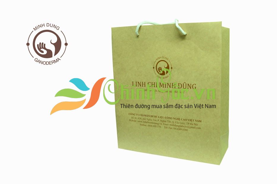 Bào tử nấm Linh Chi Minh Dũng 