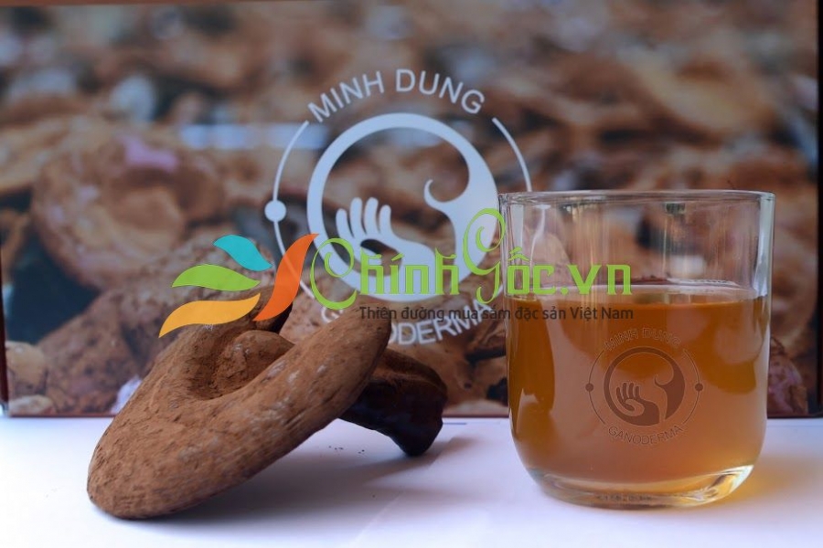 Nấm Linh Chi nguyên tai