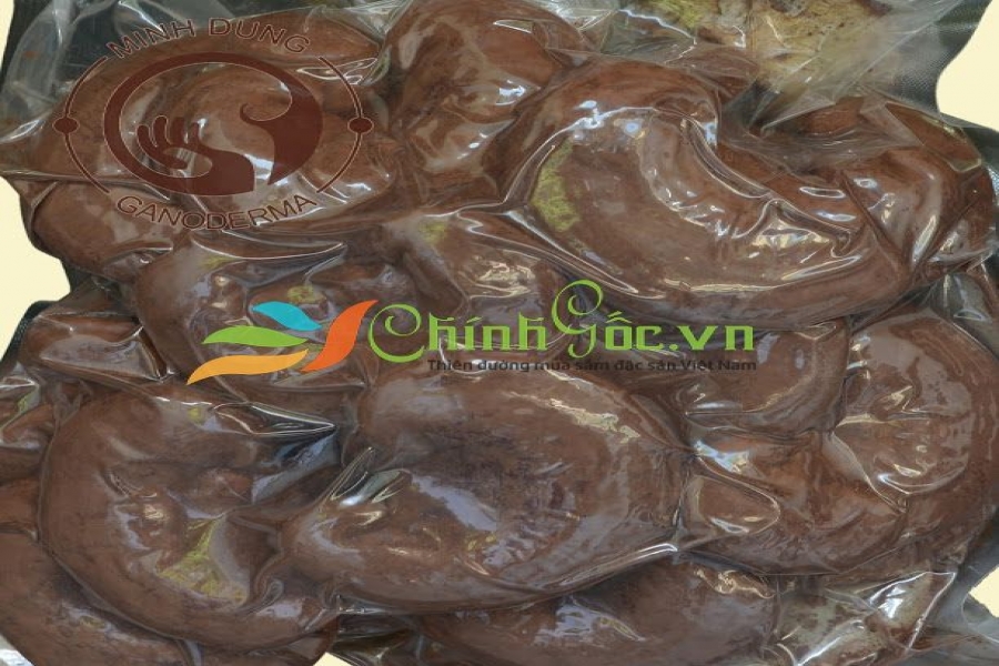 Nấm Linh Chi nguyên tai