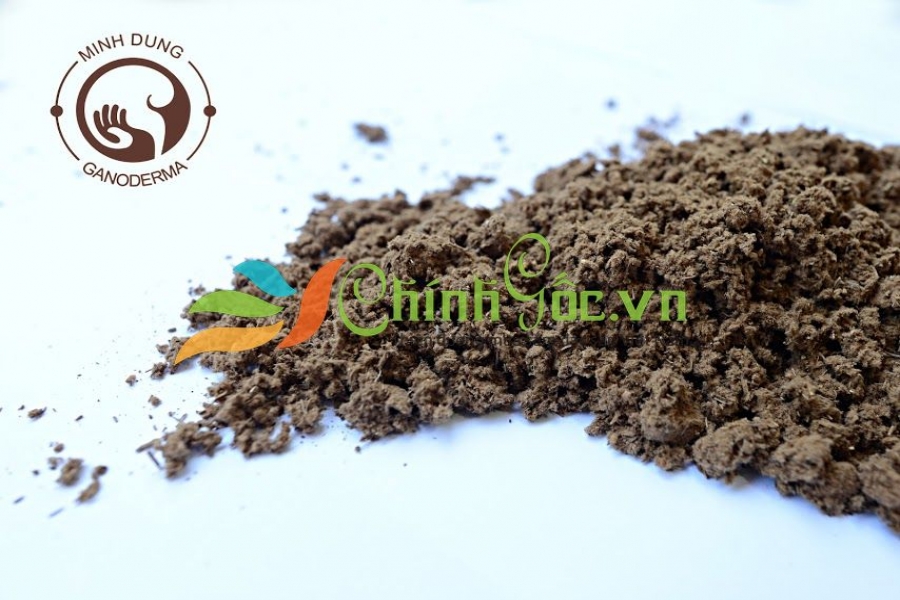 Nấm Linh Chi xay nhuyễn