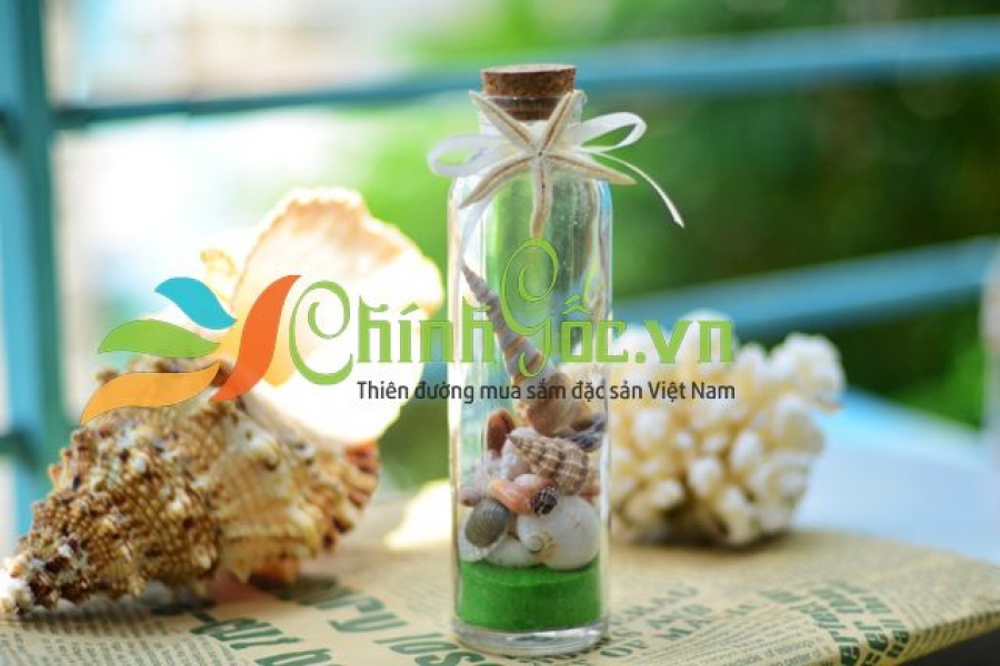 LỌ THỦY TINH CÁT & VỎ ỐC ĐỨNG (20×6) LC206_01