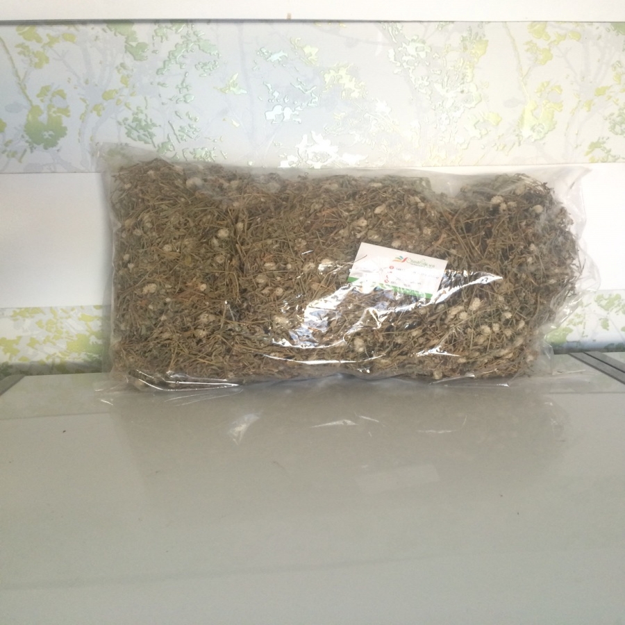 Cây nở ngày đất