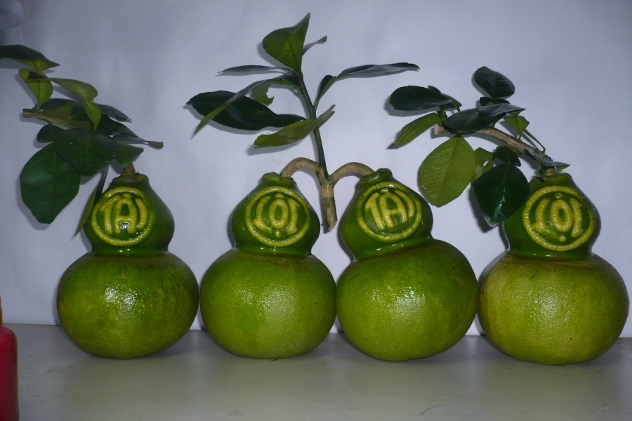 Rượu bưởi Nhân Hòa