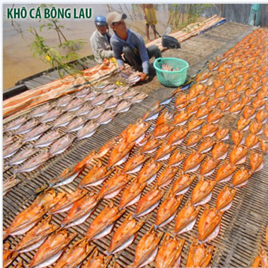 Khô cá bông lau