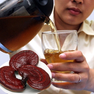 nam linh chi va benh cao huyet ap