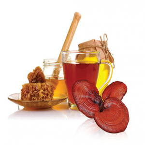 Nấm linh chi kết hợp với mật ong công dụng và cách sử dụng