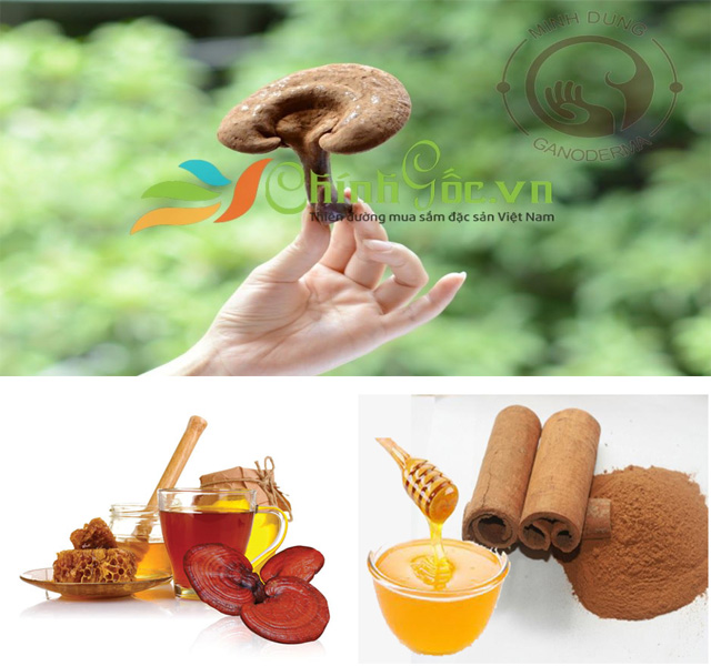 Nấm linh chi và mật ong