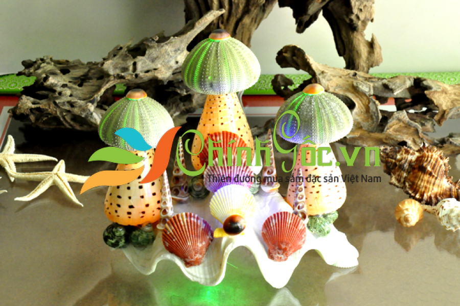 ĐÈN NGỦ VỎ ỐC (3 NHUM BIỂN) ĐN01