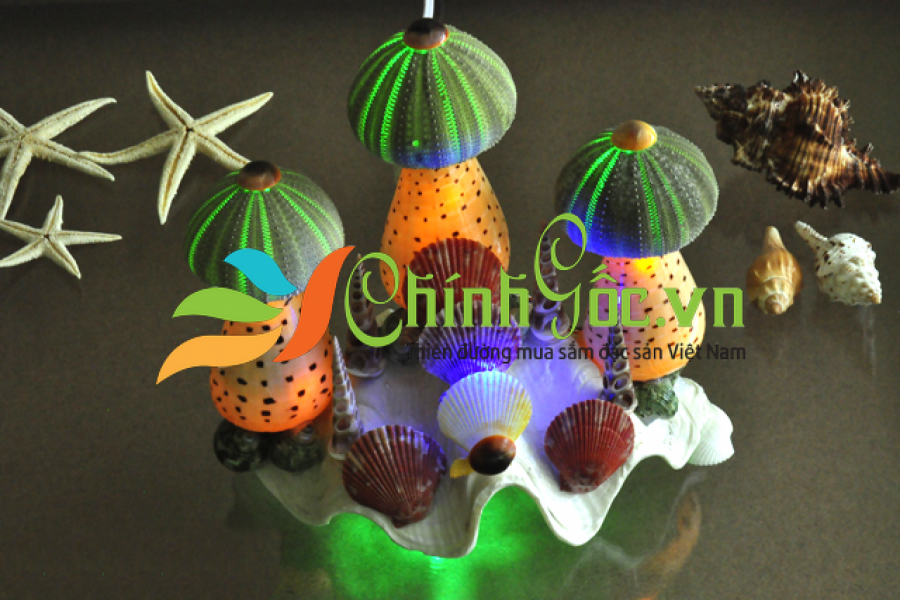 ĐÈN NGỦ VỎ ỐC (3 NHUM BIỂN) ĐN01