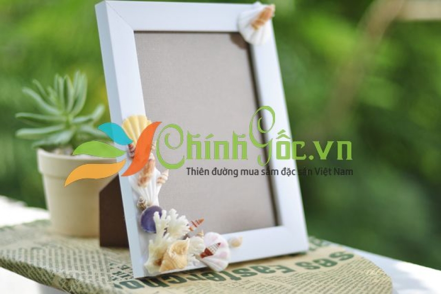 KHUNG ẢNH VỎ SÒ VỎ ỐC (13×18) KA24