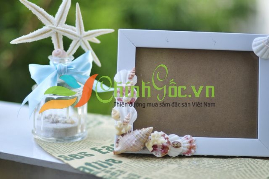 KHUNG ẢNH VỎ SÒ VỎ ỐC (13×18) KA30