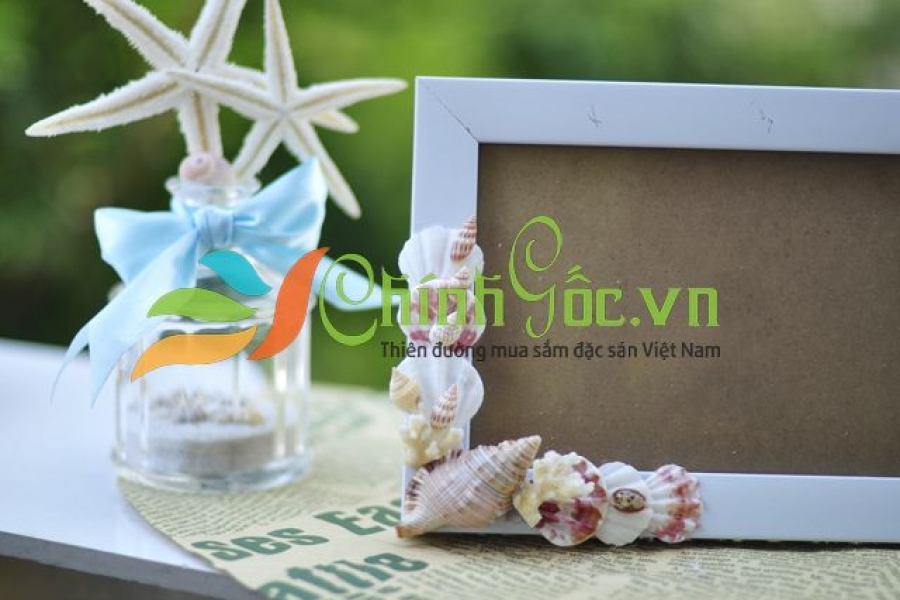 KHUNG ẢNH VỎ SÒ VỎ ỐC (13×18) KA30