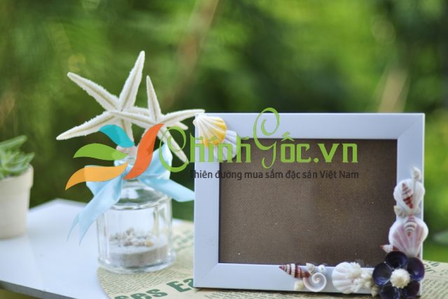 KHUNG ẢNH VỎ SÒ VỎ ỐC (13×18) KA30