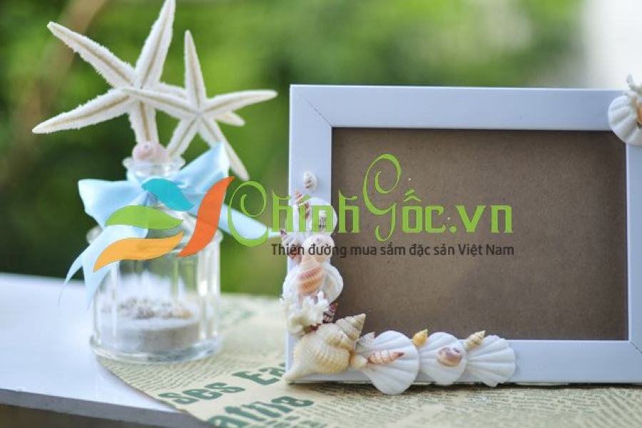 KHUNG ẢNH VỎ SÒ VỎ ỐC (13×18) KA31